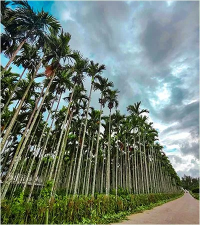 COORG – KABINI WILDLIFE