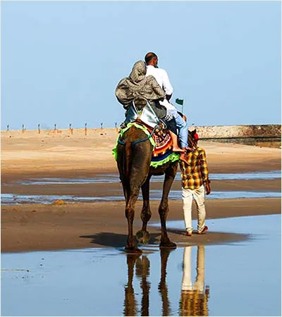 GREAT SEA – SAND – SALT TOUR
