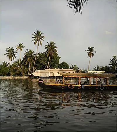 Highlight 2