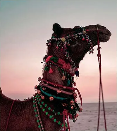 KHAMIRVANTU KUTCH