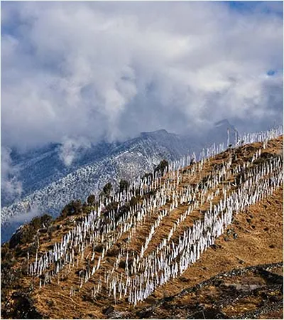 HEAVENLY HILLS