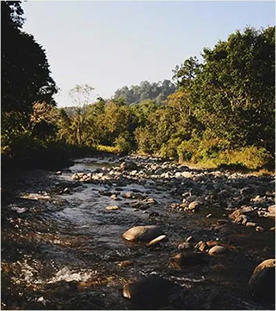 UNIQUE UTTARAKHAND