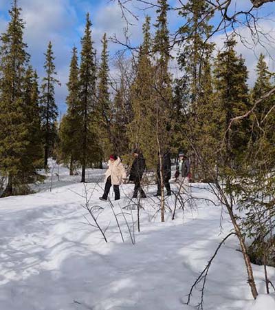 RUSSIAN LAPLAND THUMB
