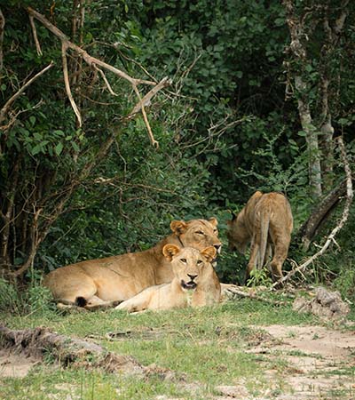 WILDERNESS KENYA & TANZANIA