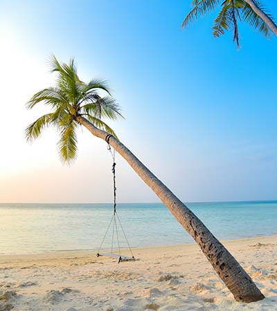 GOA